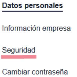 Clic en la opción "seguridad".